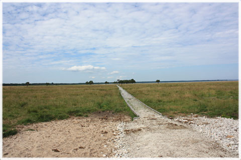 Gotland, Fågeltorn i Lau - foto: Bernt Enderborg