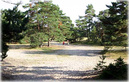 De gömda stränderna - foto: Bernt Enderborg