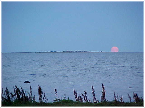 Gotland, Månens betydelse - foto: Bernt Enderborg