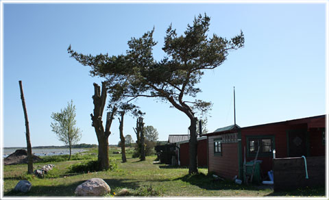 Gotland, Tutens eller Masrebodar fiskeläge - foto: Bernt Enderborg