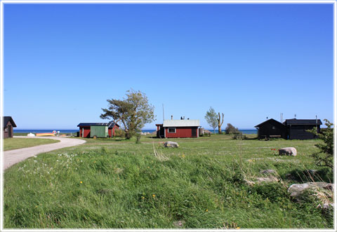 Vykort Gotland