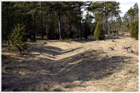 Gotland, Ekeskogs fornborg - foto: Bernt Enderborg