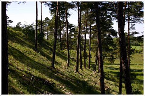 Gotland, Mulde fornborg - foto: Bernt Enderborg