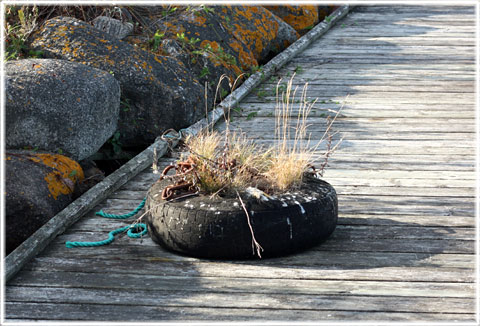 Kalkugnskajen fiskelge