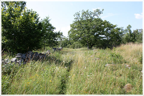 Gotland, Stensträngar, stainvastar - foto: 0