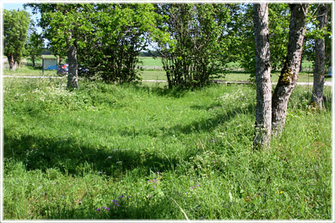 Kämpgrav i Ardre - foto: Bernt Enderborg