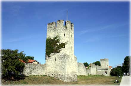 Gotland, Stor Christin - foto: Bernt Enderborg