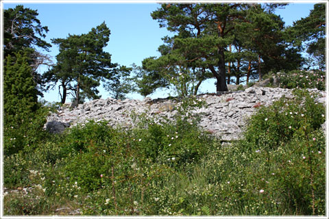 Vykort Gotland