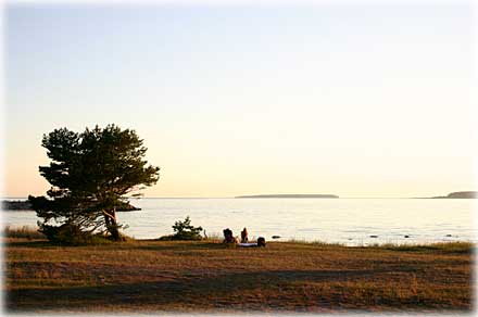 Vykort Gotland