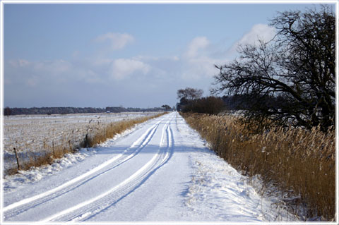 Vinter i världens vackraste land