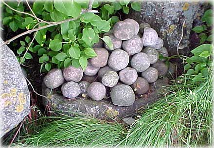 Gotland, Slungsten - foto: Bernt Enderborg