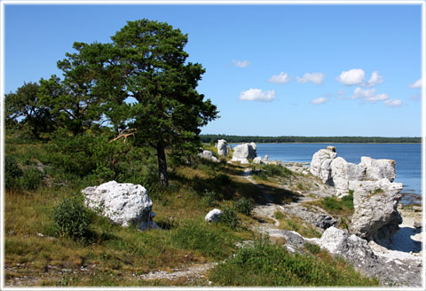 Vykort Gotland