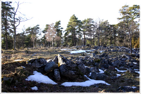 Gotland, Botvatte fornborg - foto: Bernt Enderborg