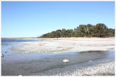 En utflykt till Snoder strand - foto: Bernt Enderborg