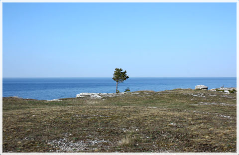 Ståndpunkter för Gotlandstrafiken