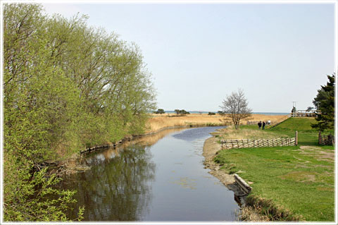 Ormkvinnans barn 2006 - foto: Bernt Enderborg