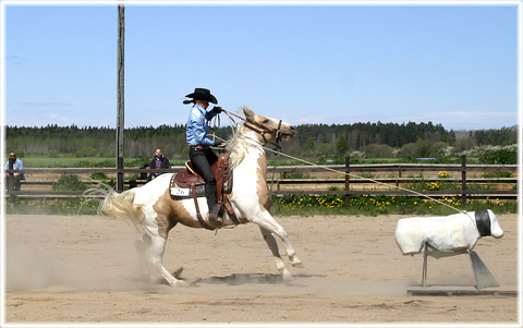 Cowgirl