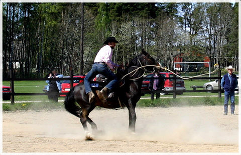 Western Riders Gotland