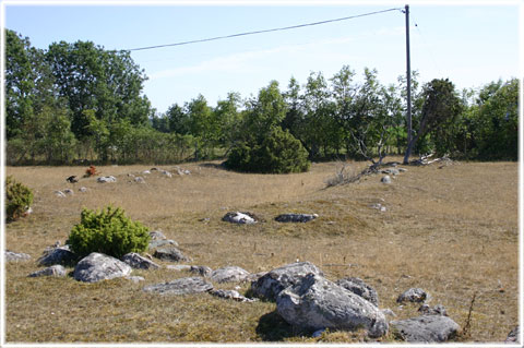 Gotland, Laikarhaids kämpgrav - foto: Bernt Enderborg