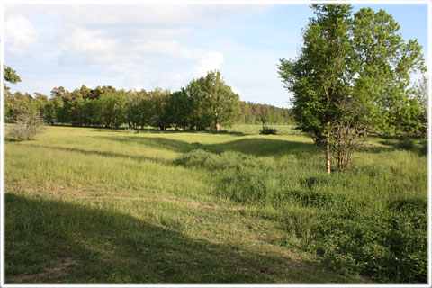 Gotland, Borgen vid Hallegårda - foto: Bernt Enderborg