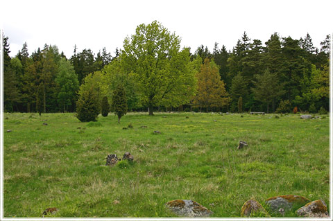 Folegrana, fornborgen vid Fole granar - foto: Bernt Enderborg