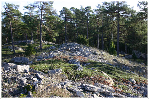 Fornborg Lickershamn, Stenkyrka