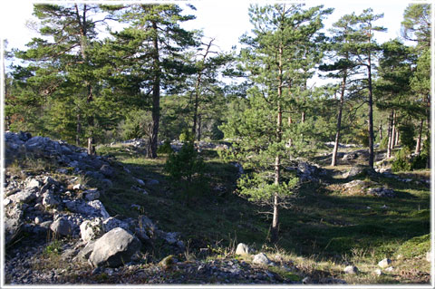 Fornborgen i Lickershamn