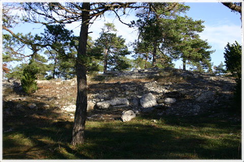 Vykort Gotland