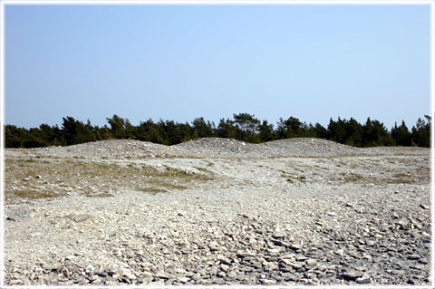 Gamle hamn, gravfältet - foto: Bernt Enderborg