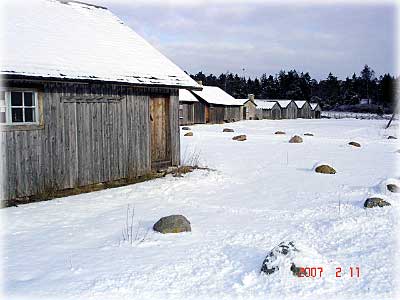 Gotland, Vandring längs Ljugarnstranden och Ardreskogen  - foto: 0