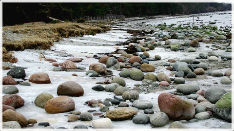 Gotland, En vinterpromenad 2007 - foto: Bernt Enderborg