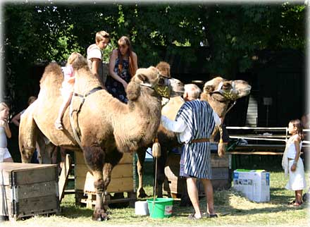 Gotland, September nalkas 2007 - foto: Bernt Enderborg