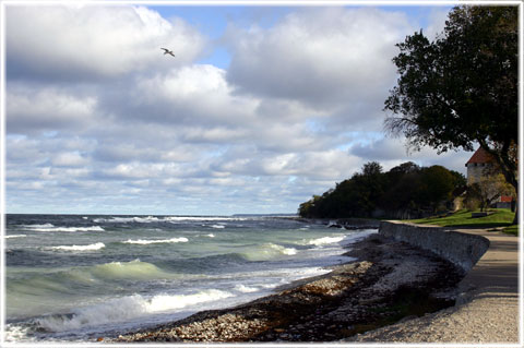 Gotland, Kulturting 2007 - foto: Bernt Enderborg