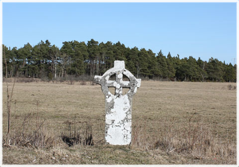 Medeltida ringkors vid Laxarve - foto: Bernt Enderborg