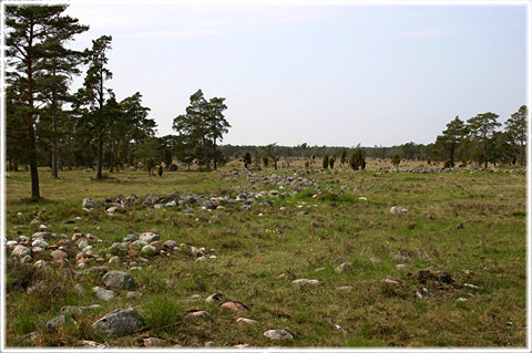 Gotland, Gudings slott - foto: Bernt Enderborg