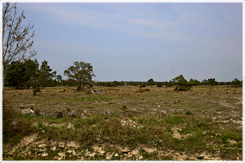 Landskapet vid Gudings slott