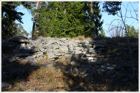 Hallbro slott, muren