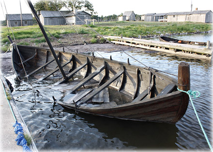 Gotland, Fan också - foto: Bernt Enderborg