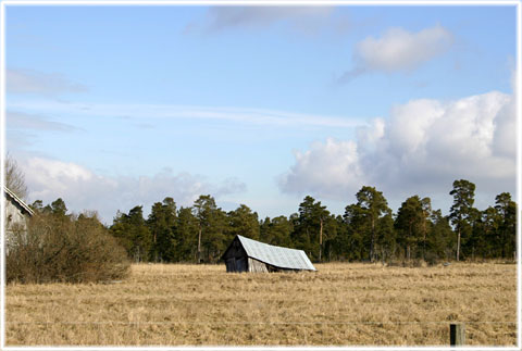 Gotland, Det lilla är förbi - foto: Bernt Enderborg