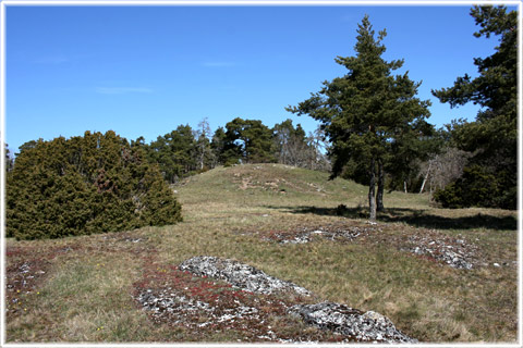 Gotland, Visbjerg - promenadguiden - foto: Bernt Enderborg