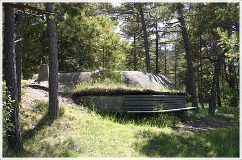 Bunker vid Kronvalls