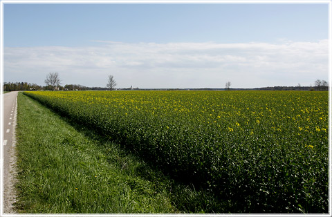 Gotland, Åkerlandskap - foto: Bernt Enderborg