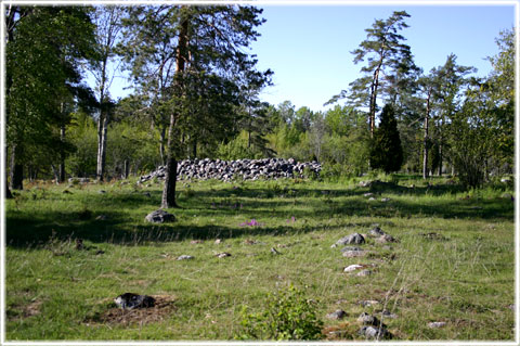 Gotland, Fornbyn Fallet - foto: Bernt Enderborg