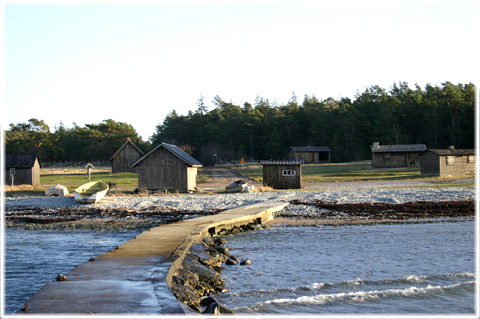 Gotland, Kronvalls - foto: Bernt Enderborg