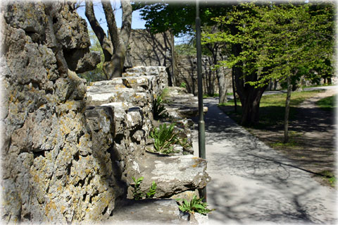 Gotland, Väktargång | Ringmuren - foto: Bernt Enderborg