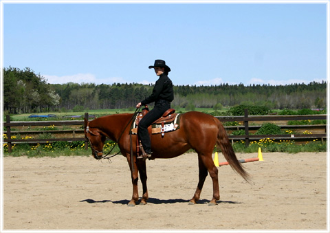 Gotland, En cowgirl - foto: Bernt Enderborg