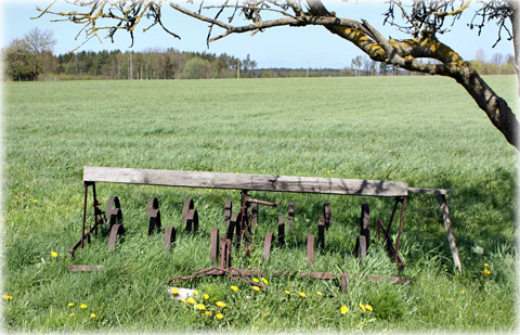 Gotland och sveariket - foto: Bernt Enderborg