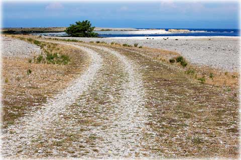 En vandring runt Fårö och Bästeträsk