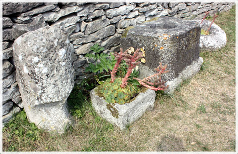 Gotland, En underlig sten - foto: Bernt Enderborg