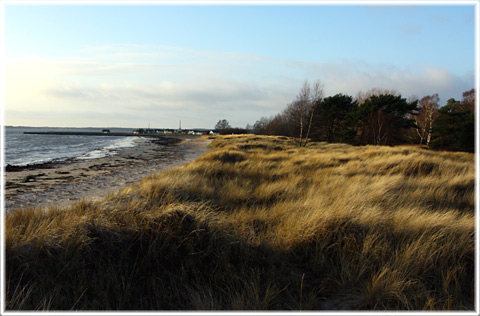 Gotland, Livets guldkant - foto: Bernt Enderborg